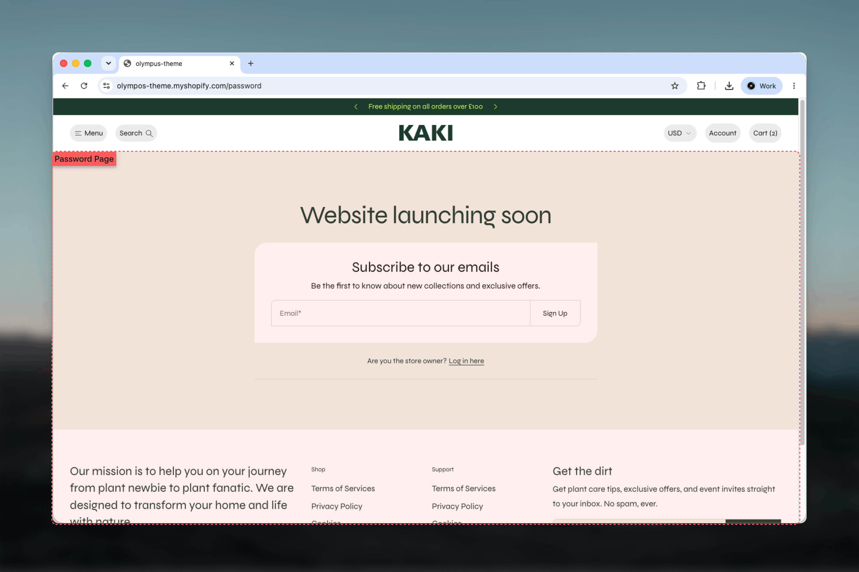 Password page on the storefront with a launch heading, newsletter sign-up card and store owner login prompt