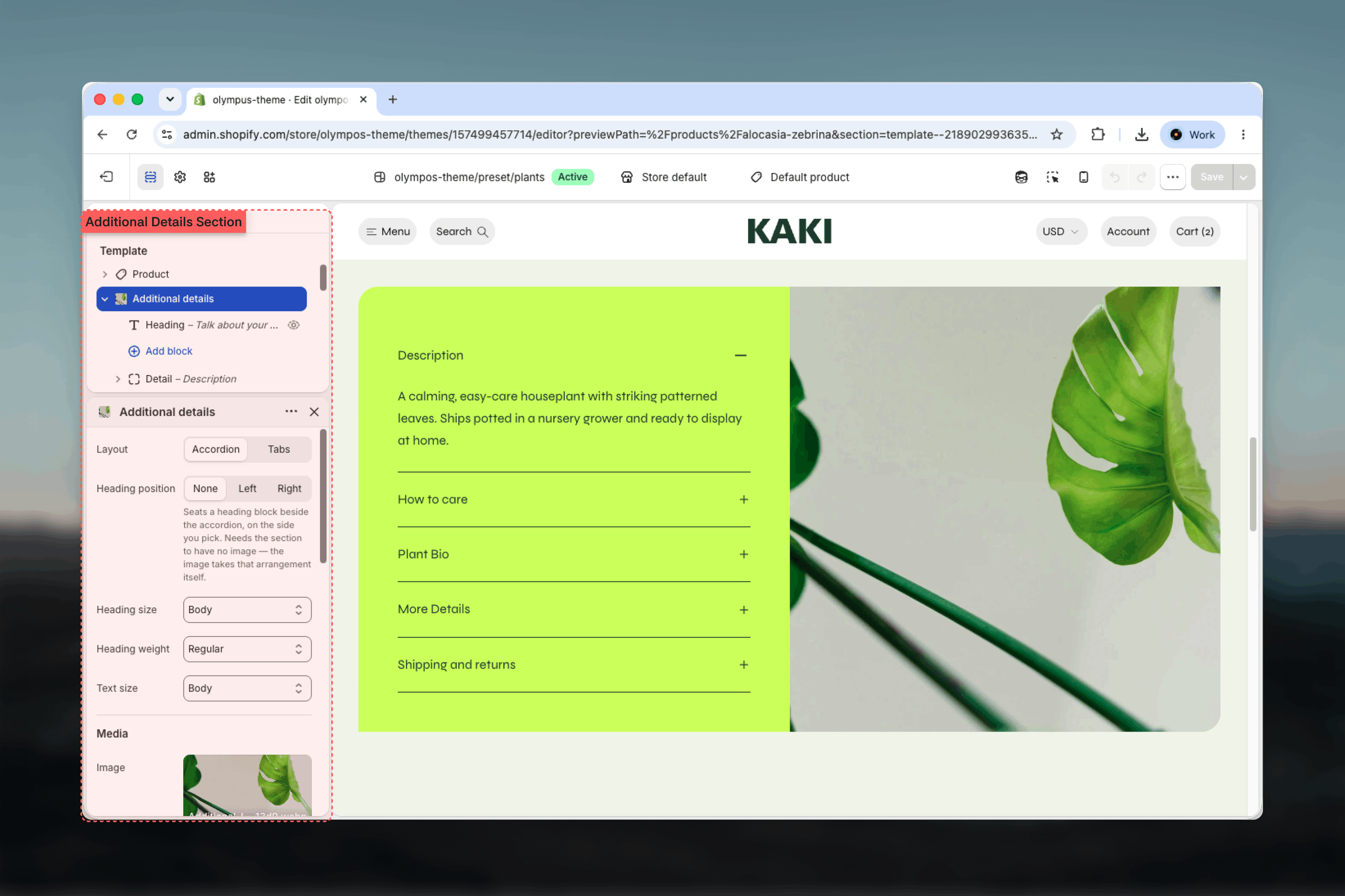 Additional details section selected in the Theme Customizer