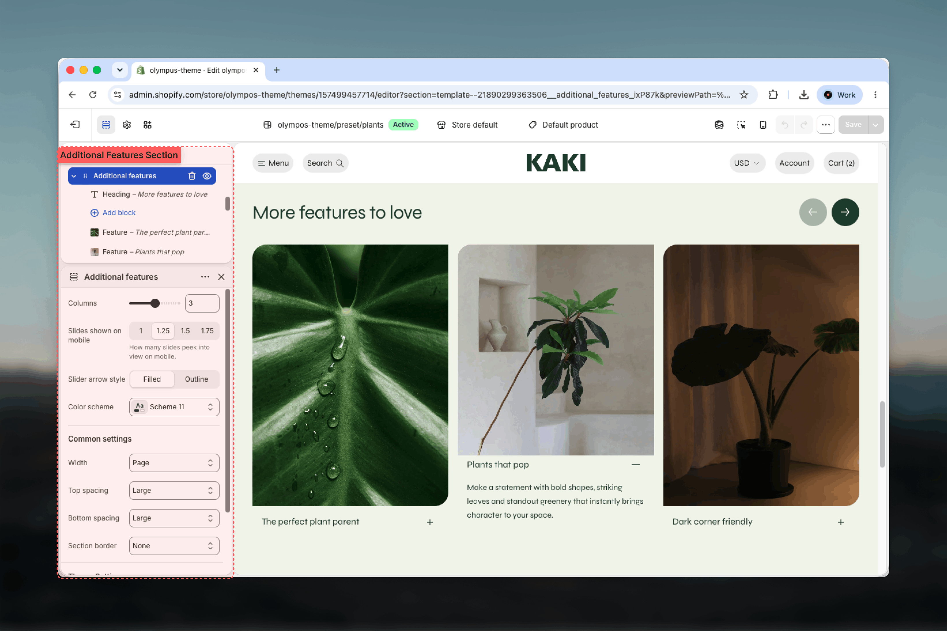 Additional features section selected in the Theme Customizer