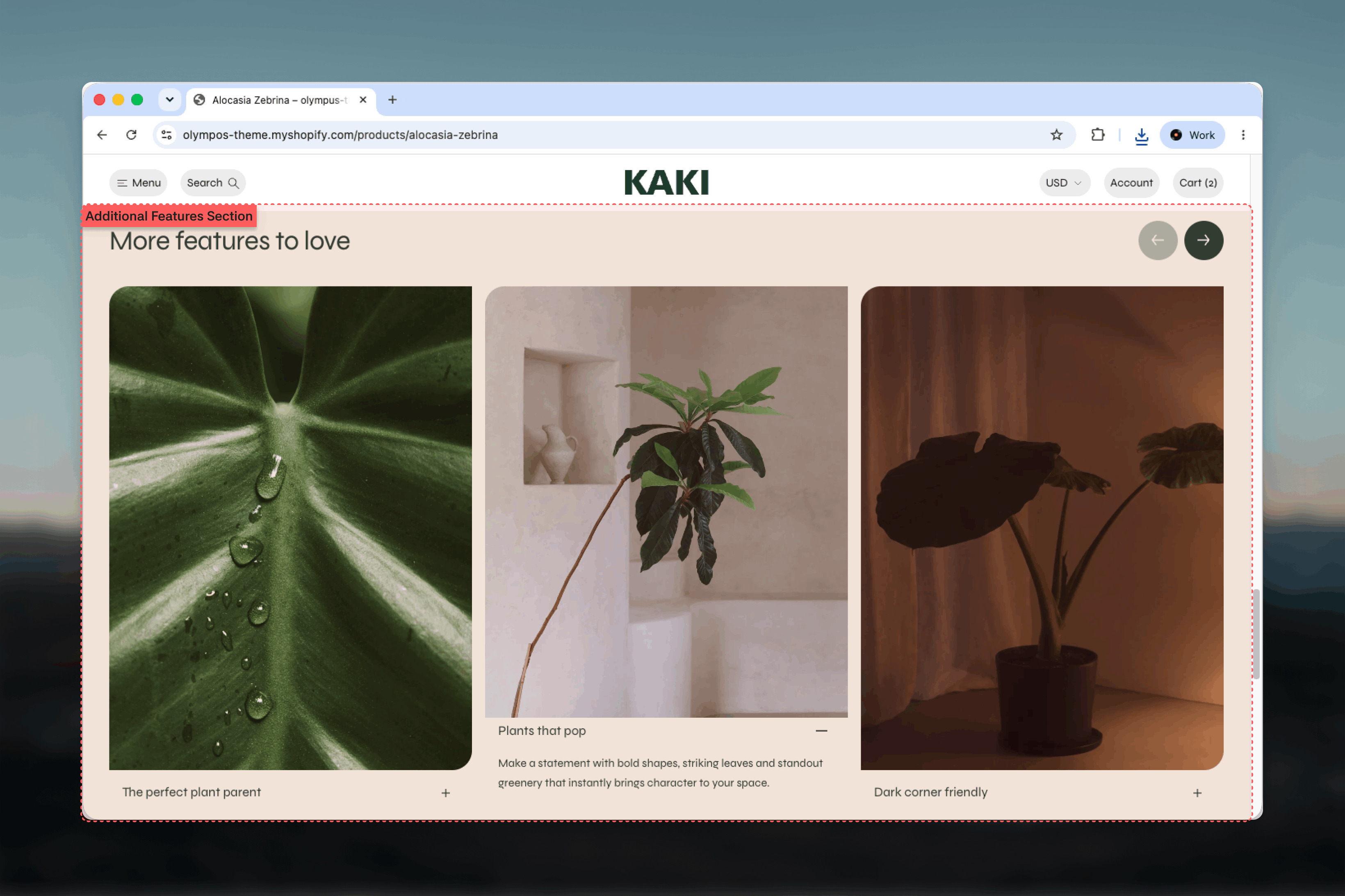 Additional features section showing a carousel of feature tiles with one description expanded