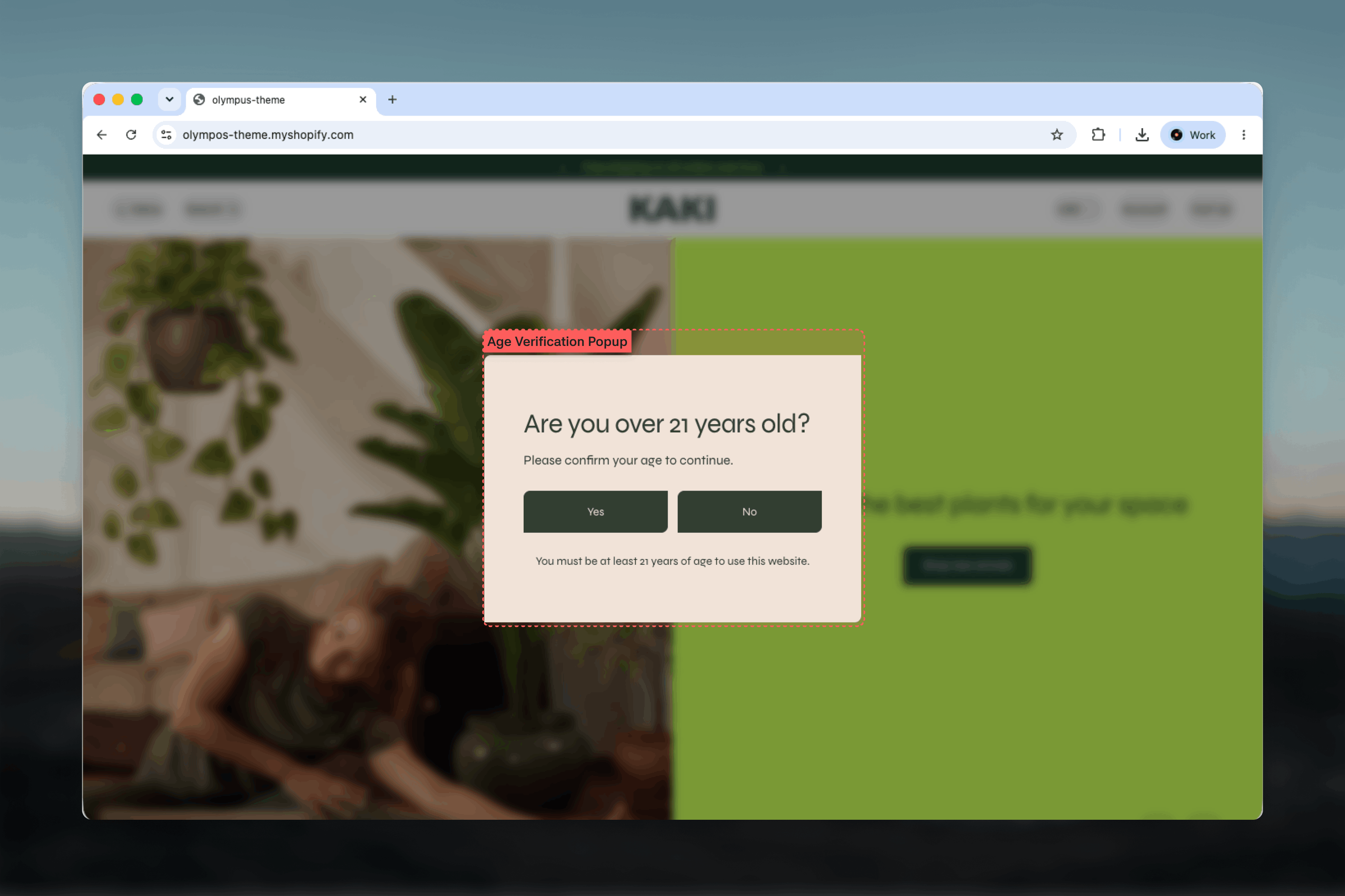 Age verification popup shown over a blurred storefront