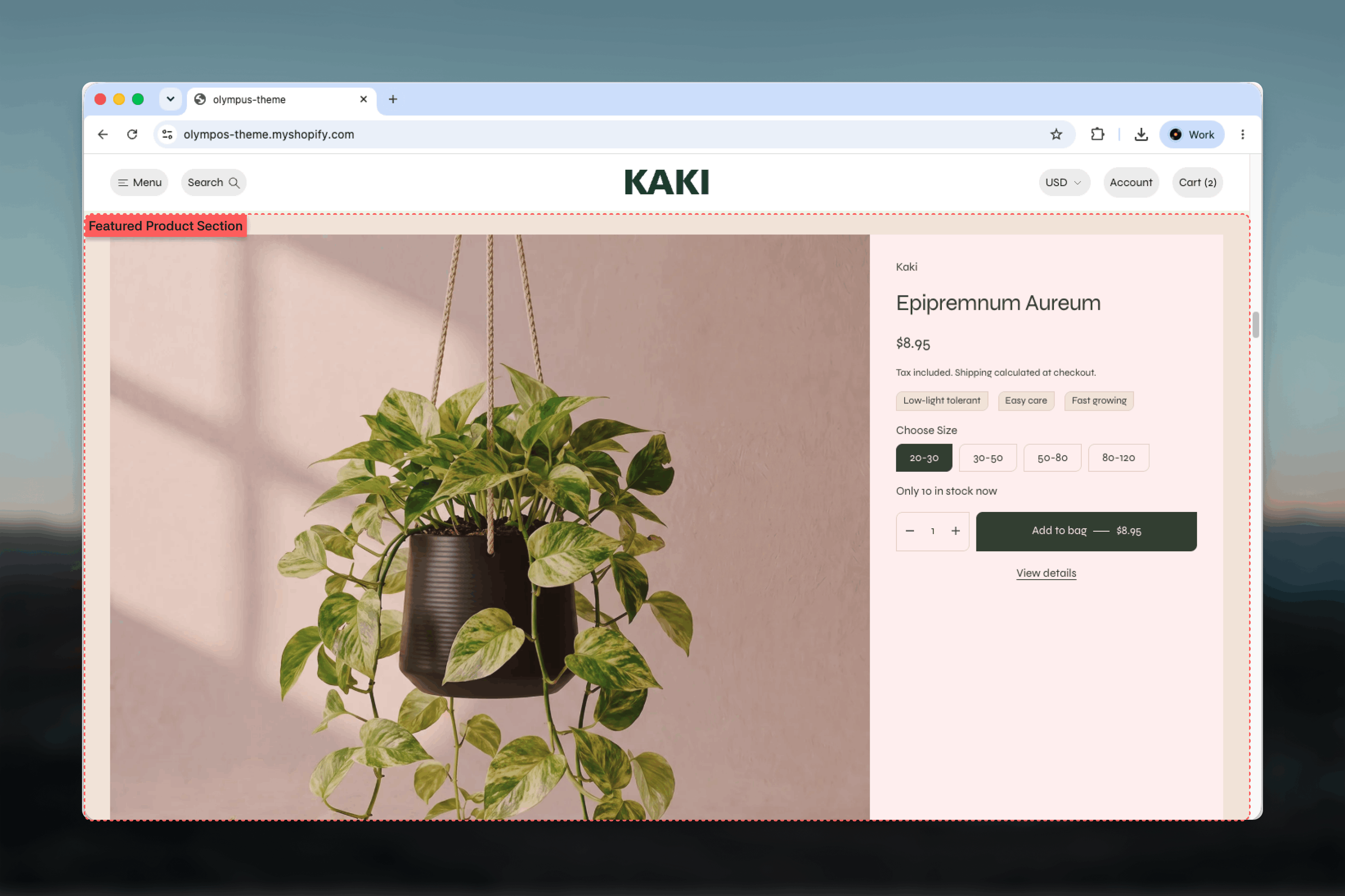 Featured product section showing a product gallery beside its title, price, variant picker and buy button