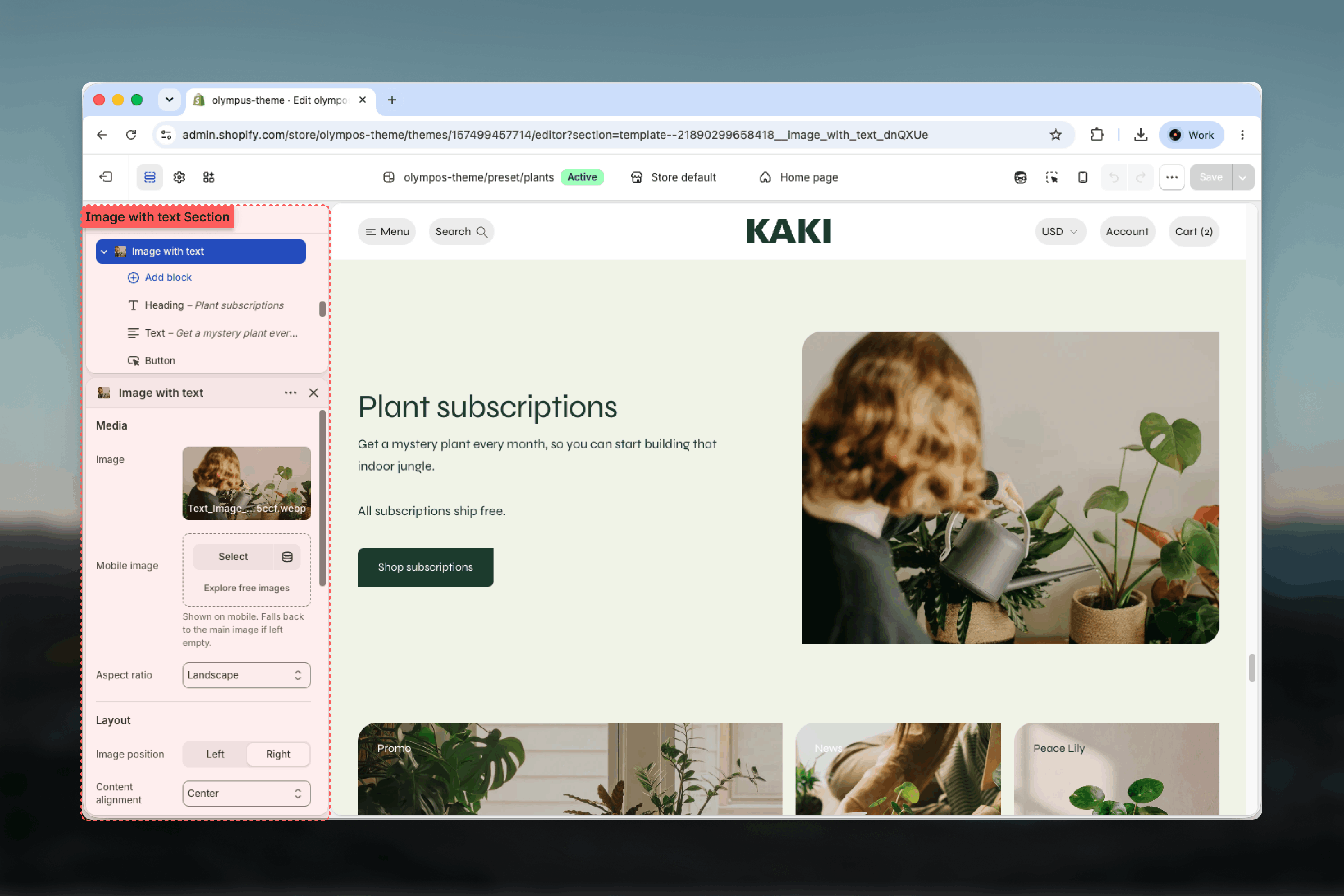 Image with text section selected in the Theme Customizer sidebar