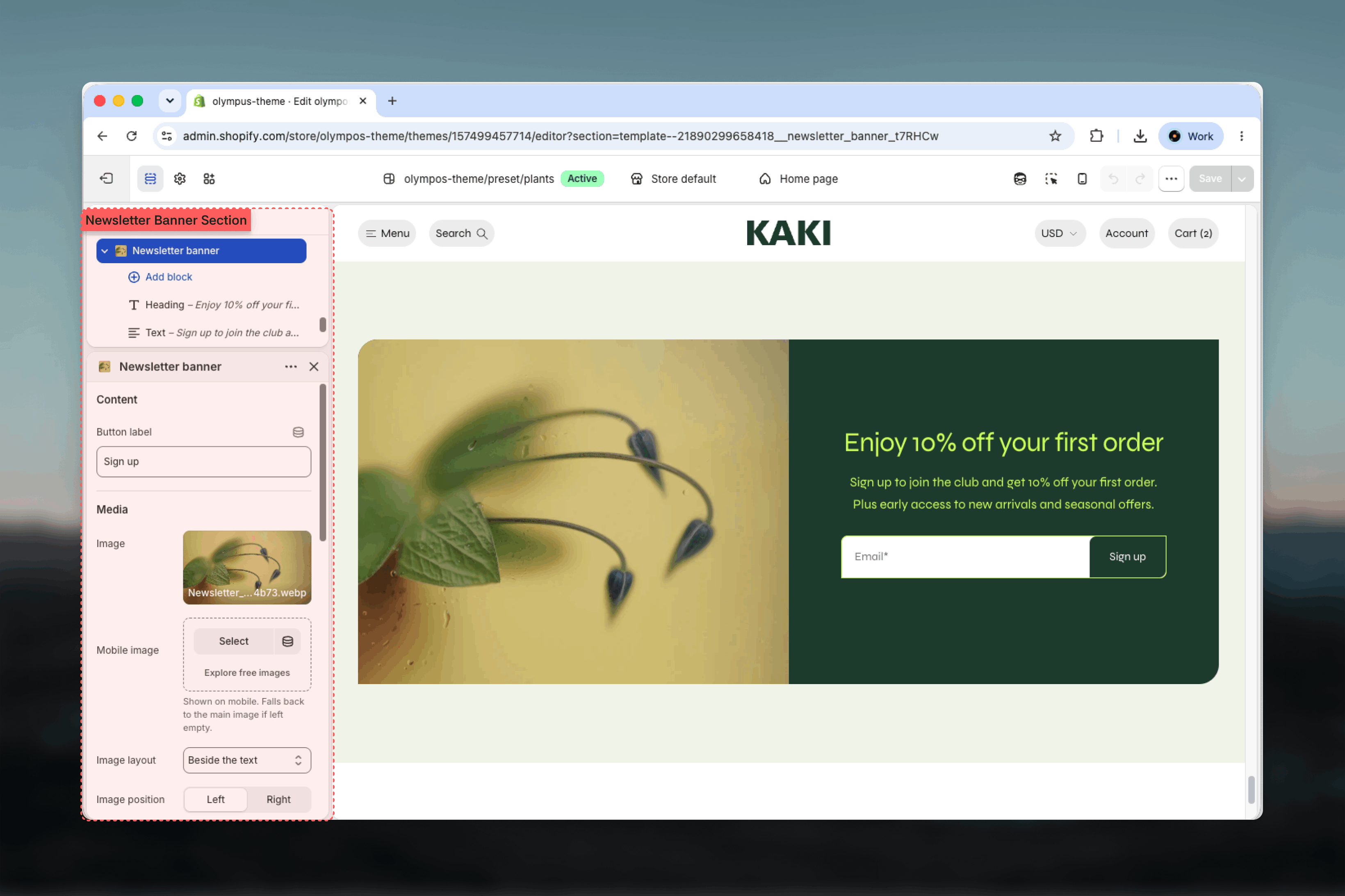 Newsletter banner section selected in the Theme Customizer sidebar