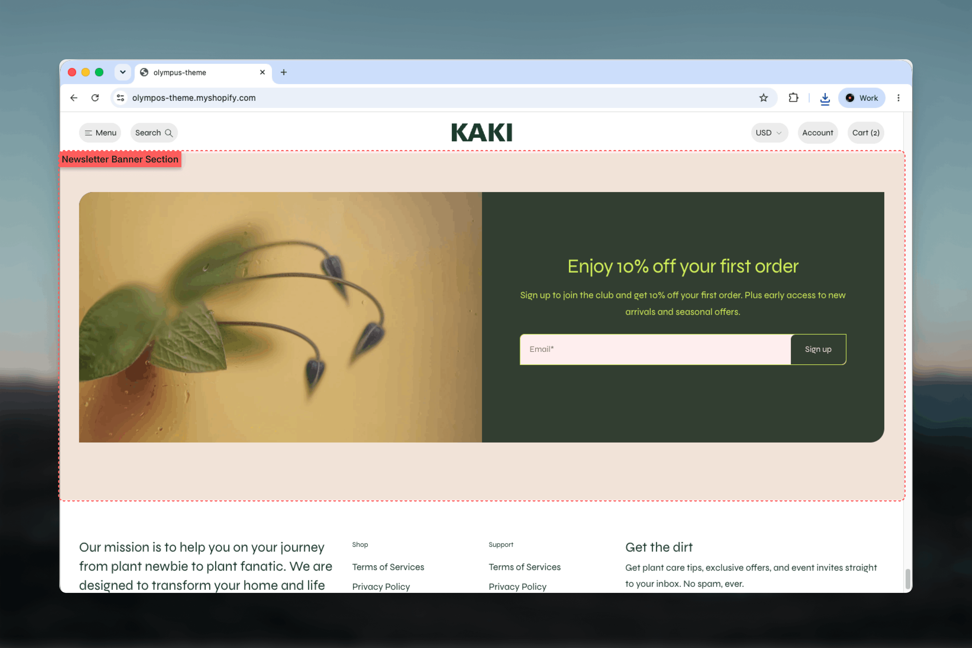 Newsletter banner section with an image on the left and a heading, text and email form on the right