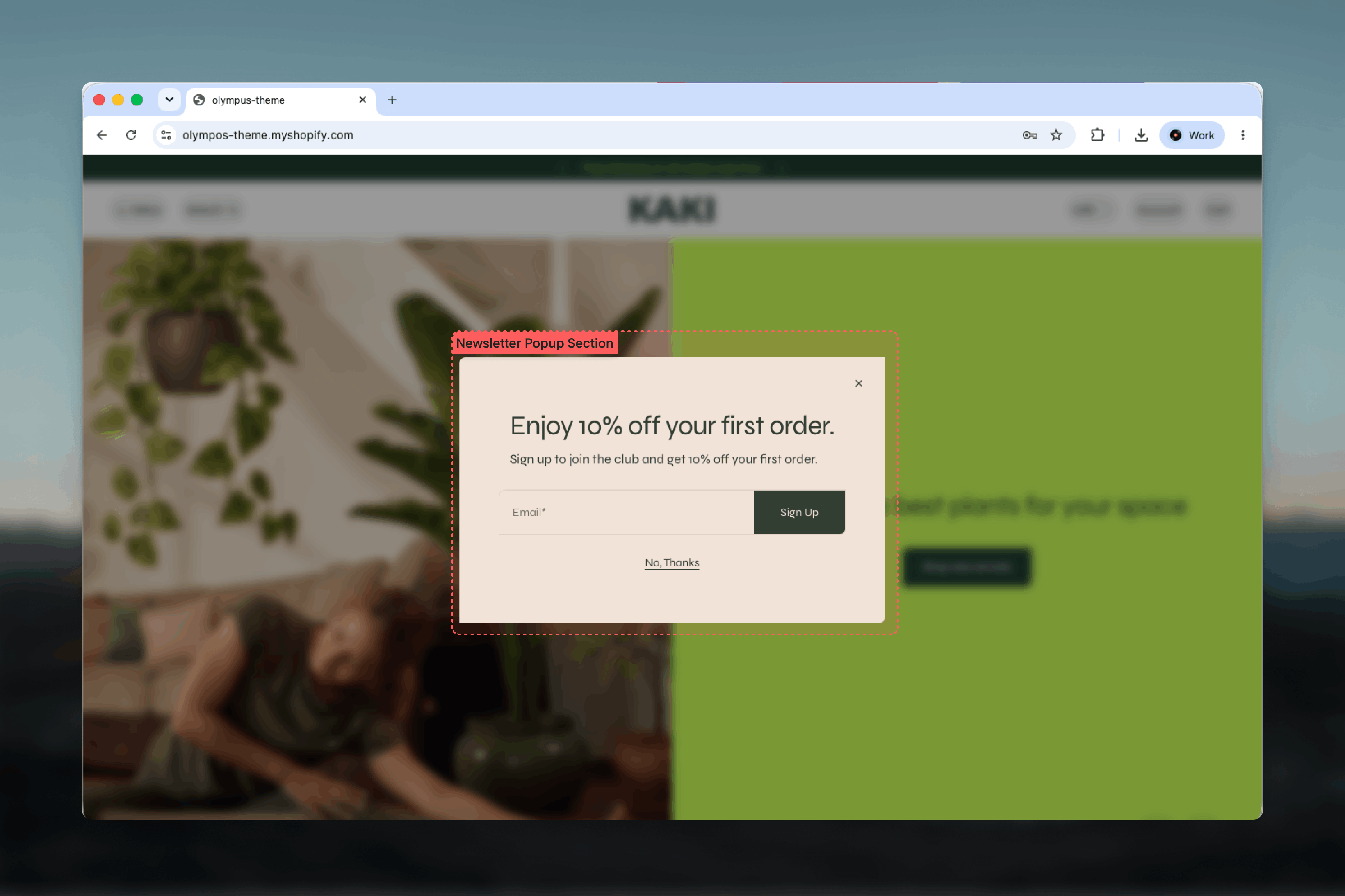 Newsletter popup dialog with an image, heading, email field and dismiss link over a dimmed page