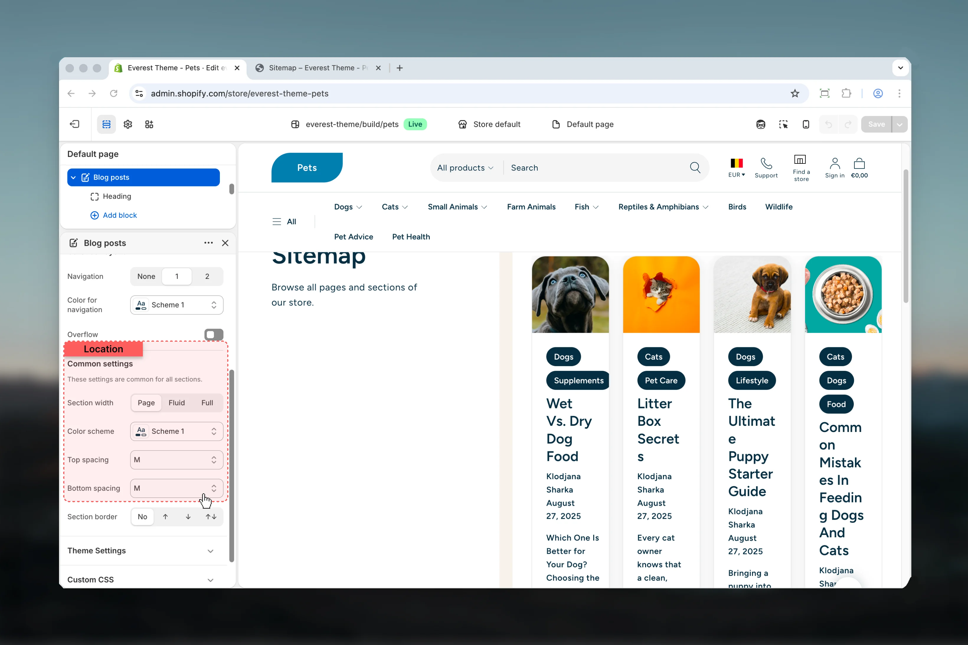 Blog Posts Layout settings