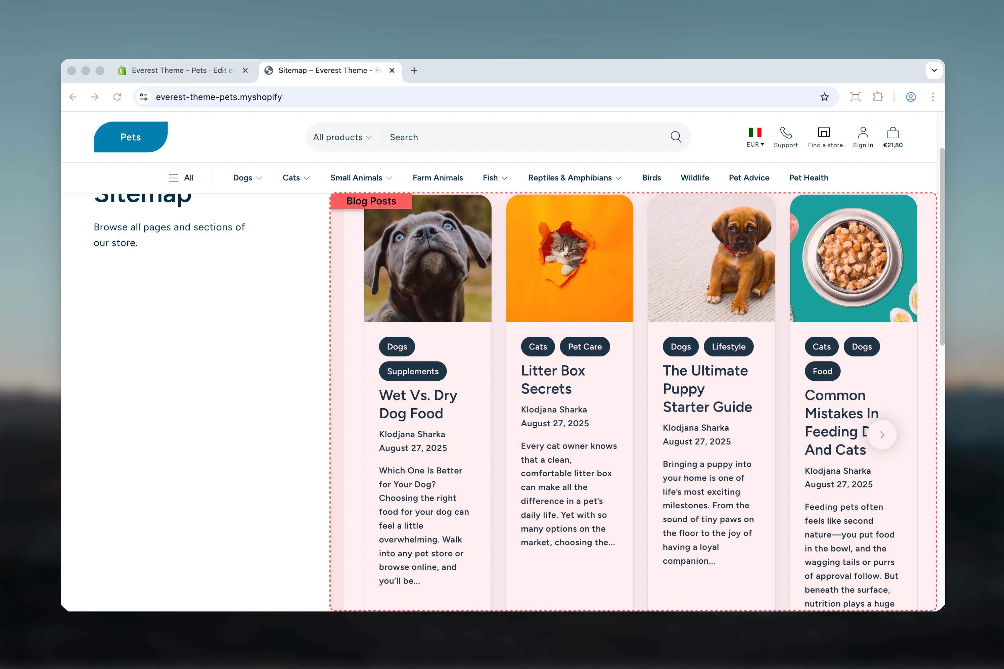 Blog Posts overview
