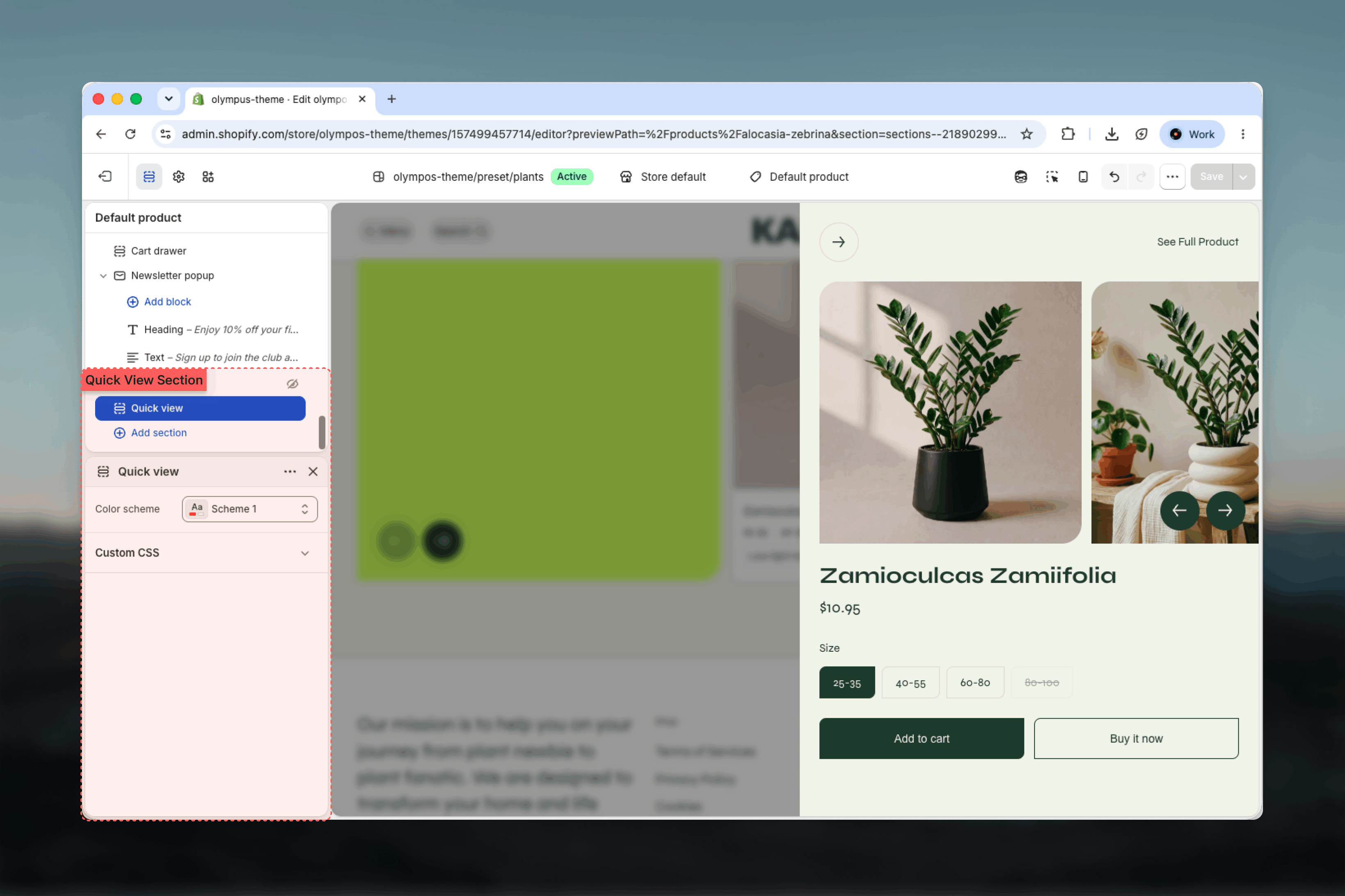 Quick view inside the Modals & drawers group in the Theme Customizer