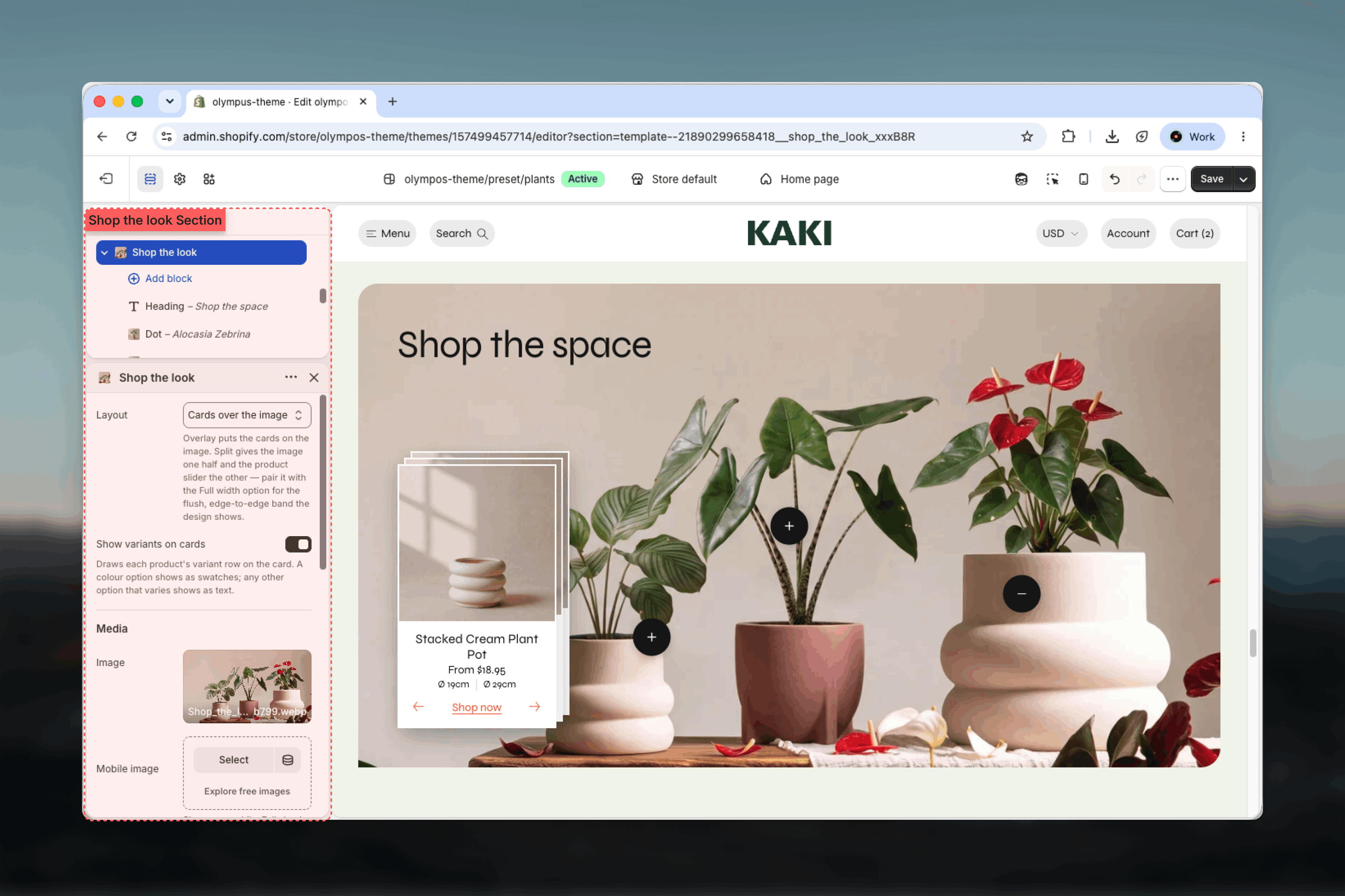 Shop the look section and its Dot blocks in the Theme Customizer sidebar