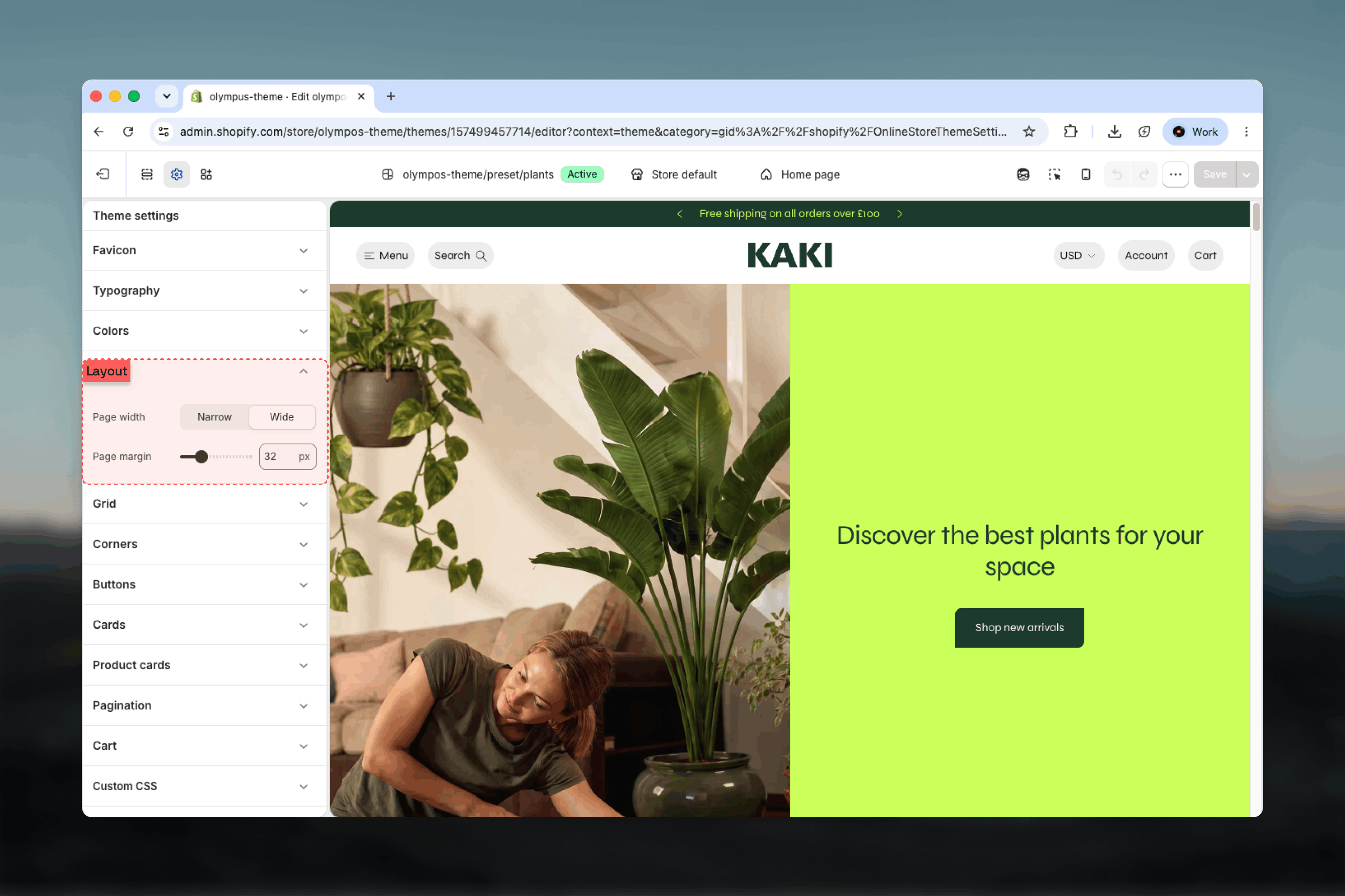 Layout group in the Theme settings sidebar