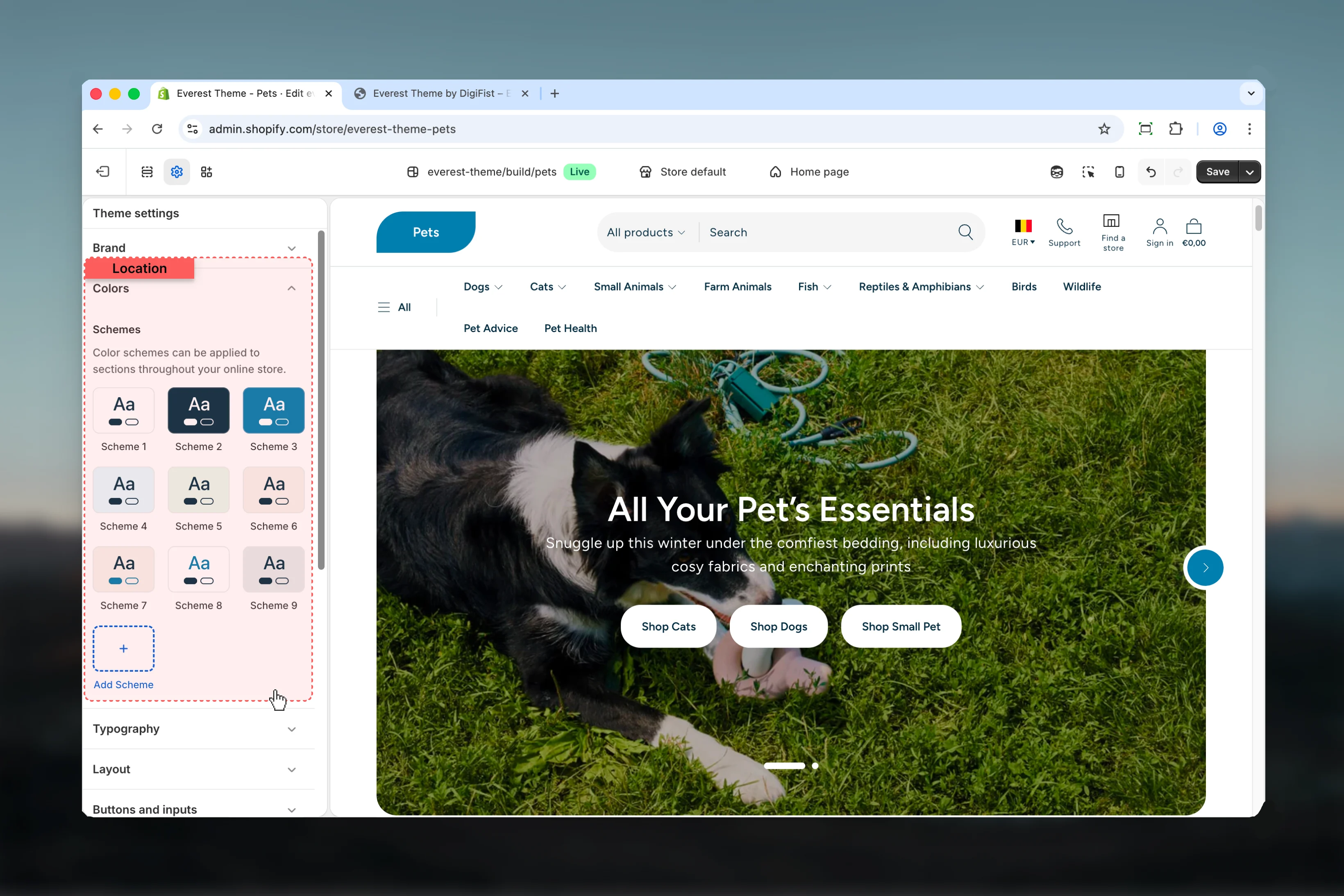 Colors theme settings overview in Everest