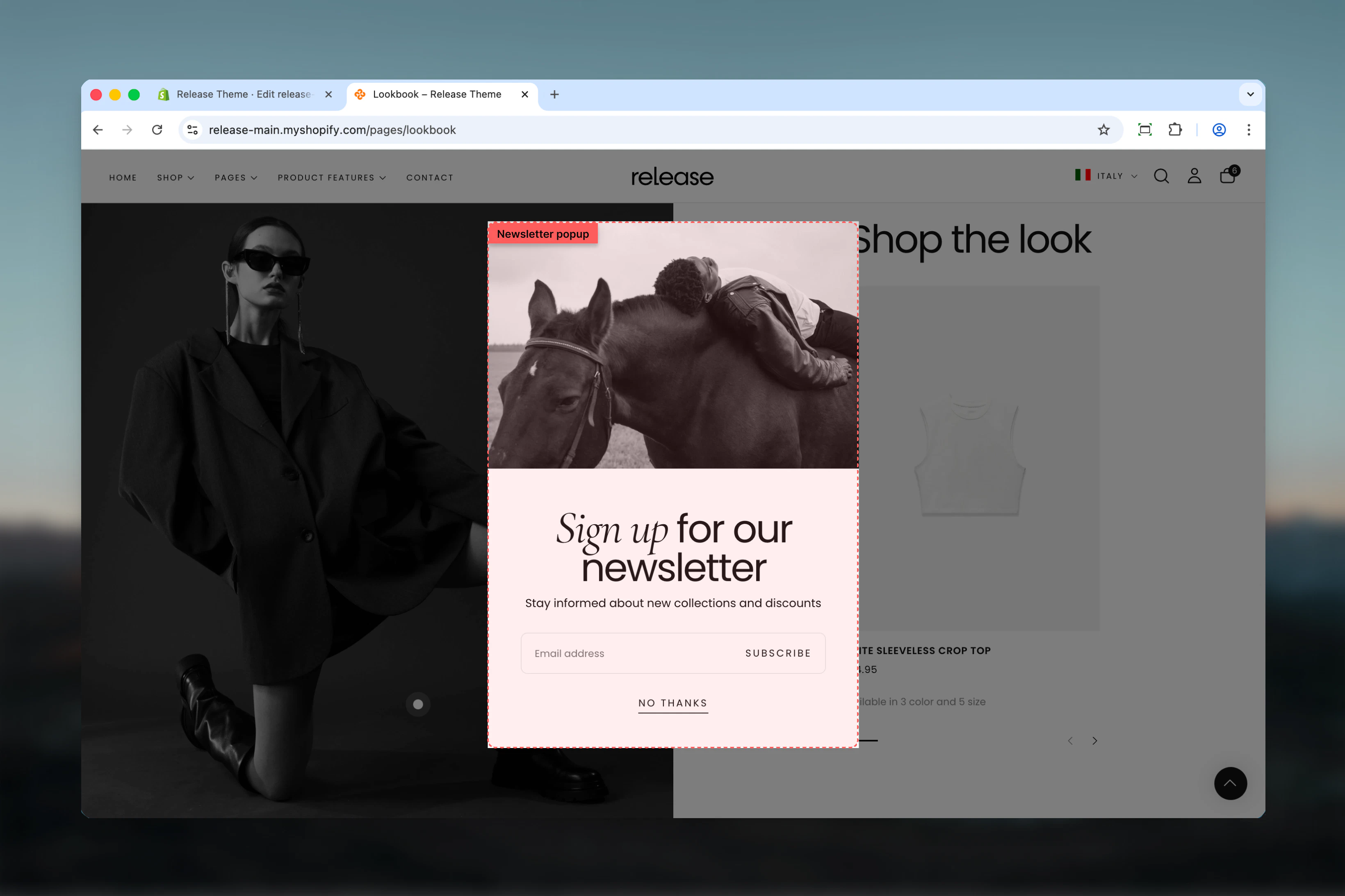 Newsletter popup overview
