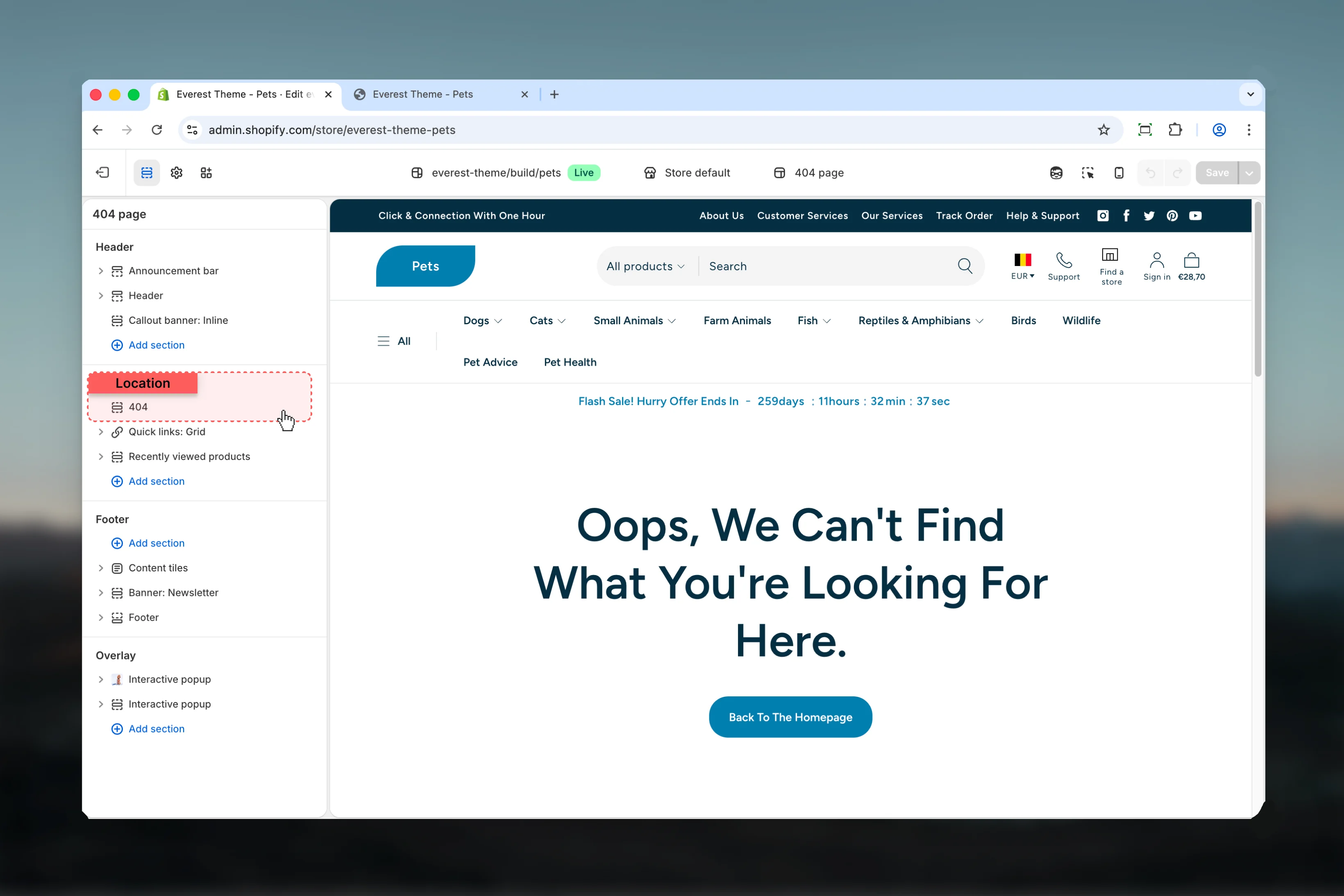 404 Page location in Theme Customizer