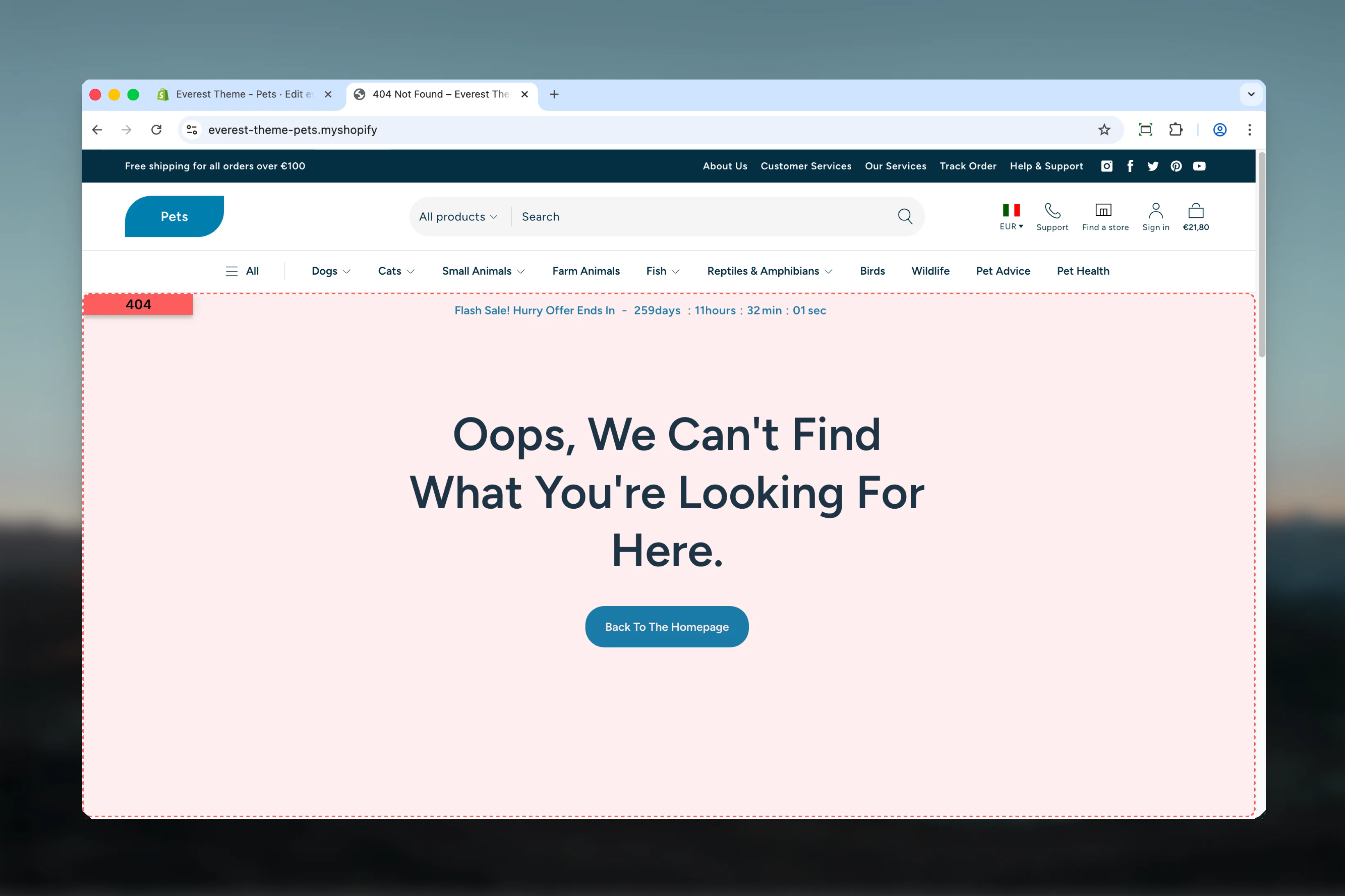 404 Page overview