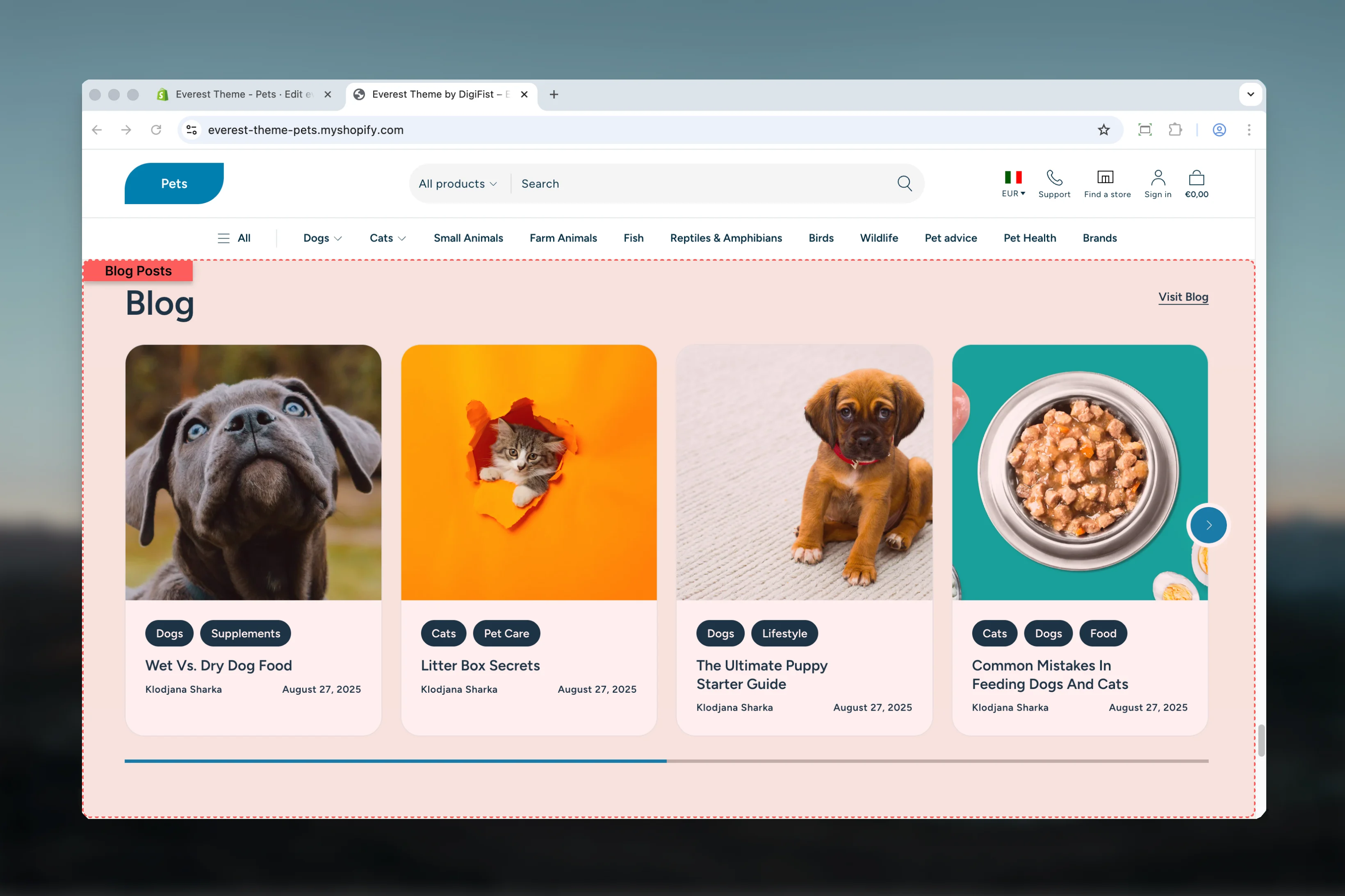 Blog Posts overview