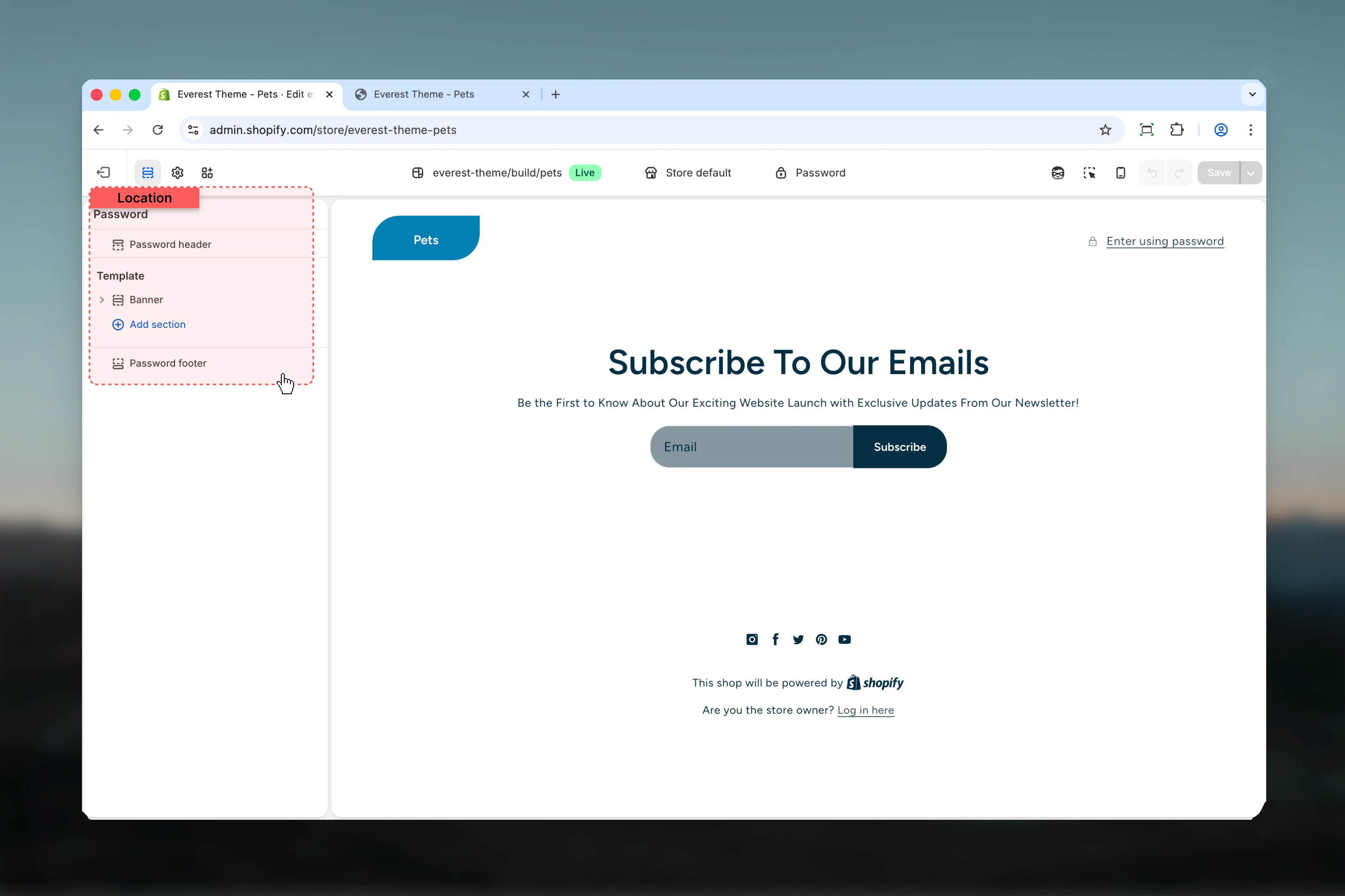 Password location in Theme Customizer