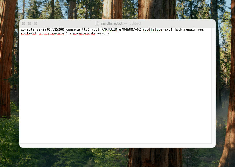rpi-edit-dmlinetxt