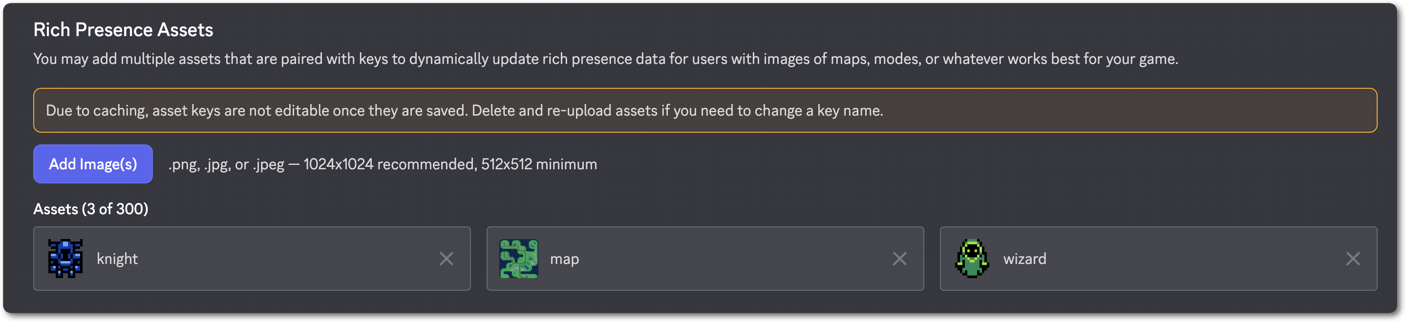 The Developer Portal where you upload Rich Presence image assets
