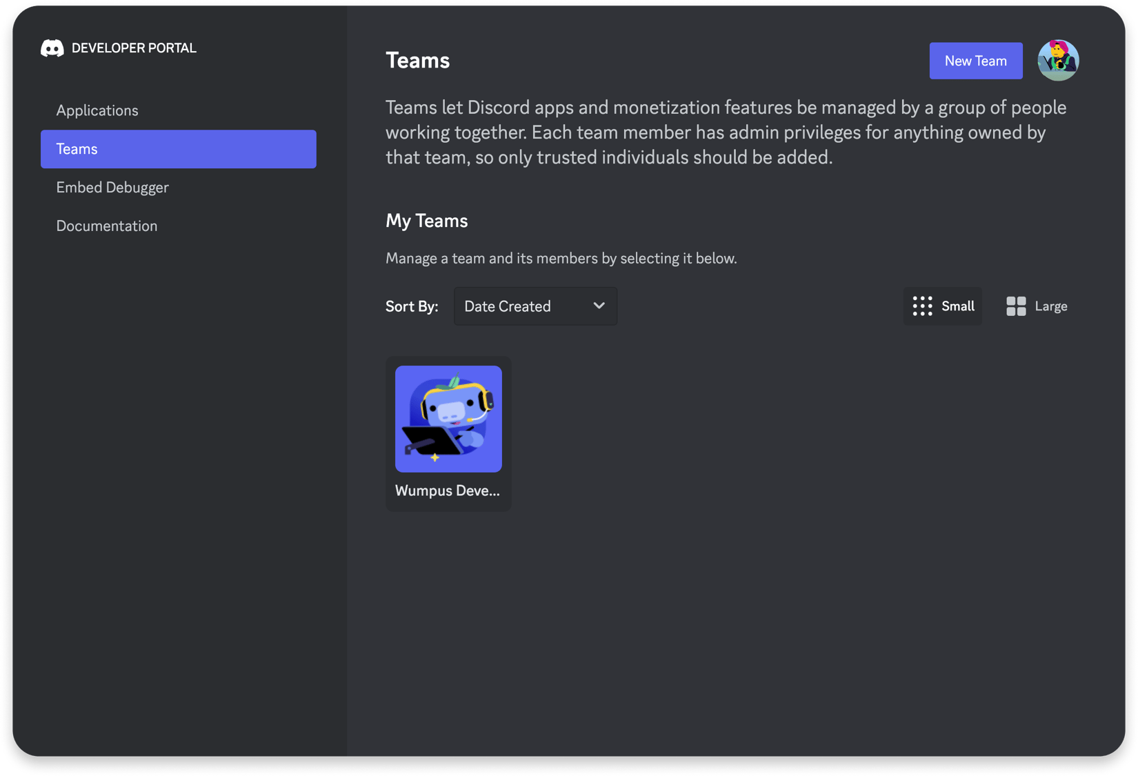 Managing Your Developer Team - Documentation - Discord