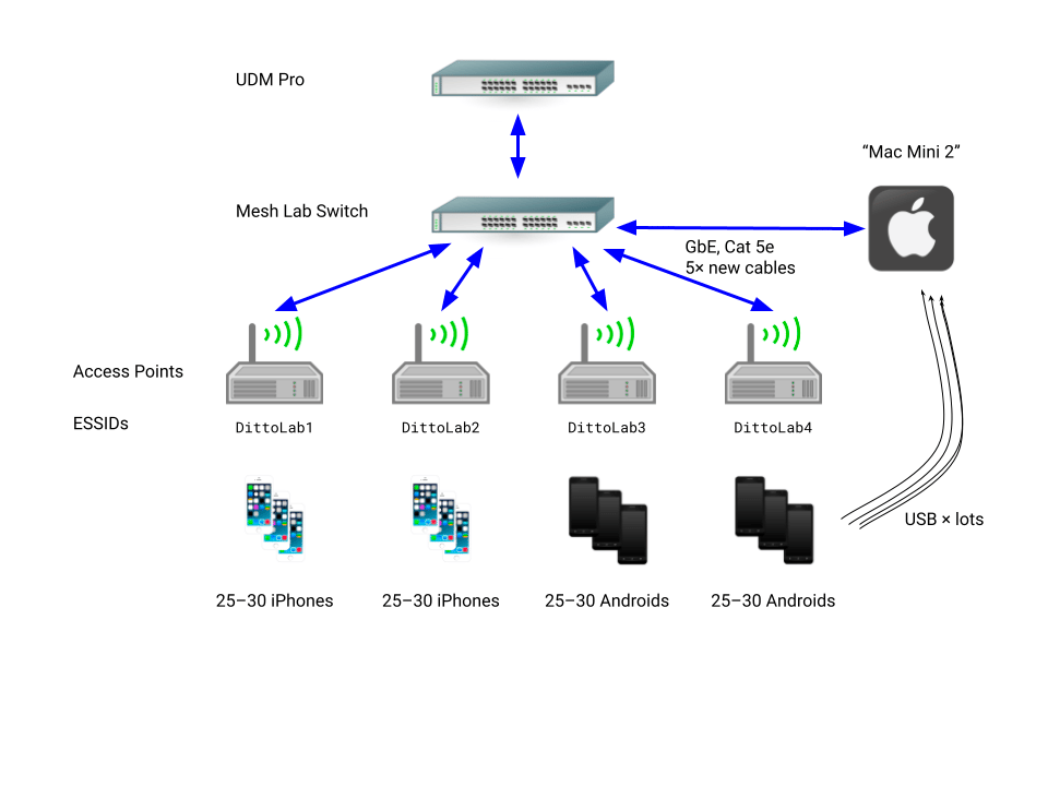 Local Area Network - Ditto