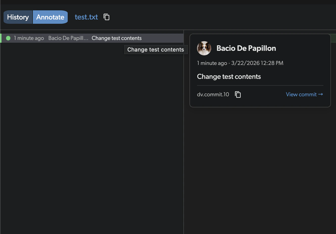 Annotate tooltip showing commit details on hover