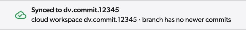 Workspace header reading Synced to dv.commit.12345, cloud workspace dv.commit.12345, branch has no newer commits
