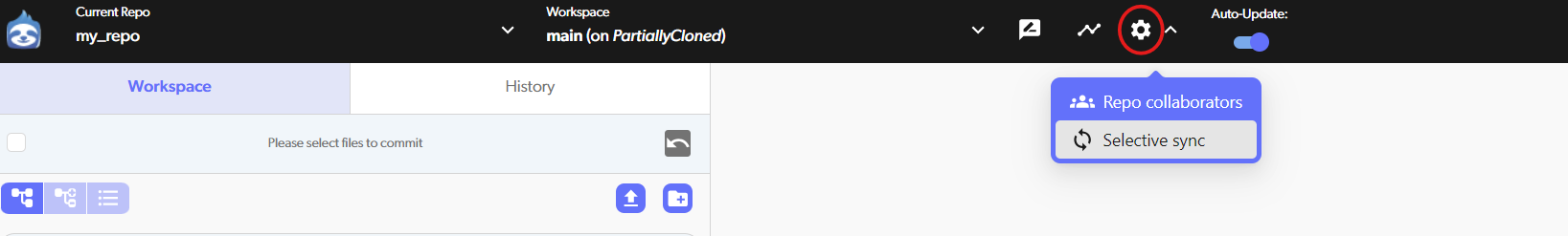 Enable selective sync