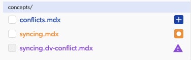 Conflict File Item