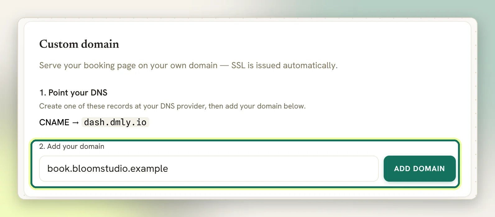 The Custom domain panel showing the CNAME record to create and a domain typed into Add your domain, with the Add domain button highlighted