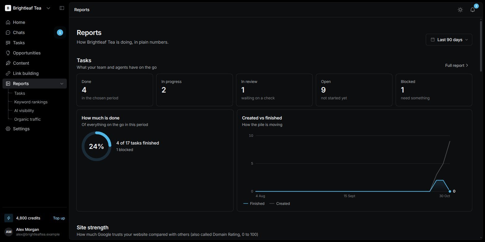 The Reports overview page with sections for Tasks, Site strength, Keyword rankings, AI visibility and Traffic from Google
