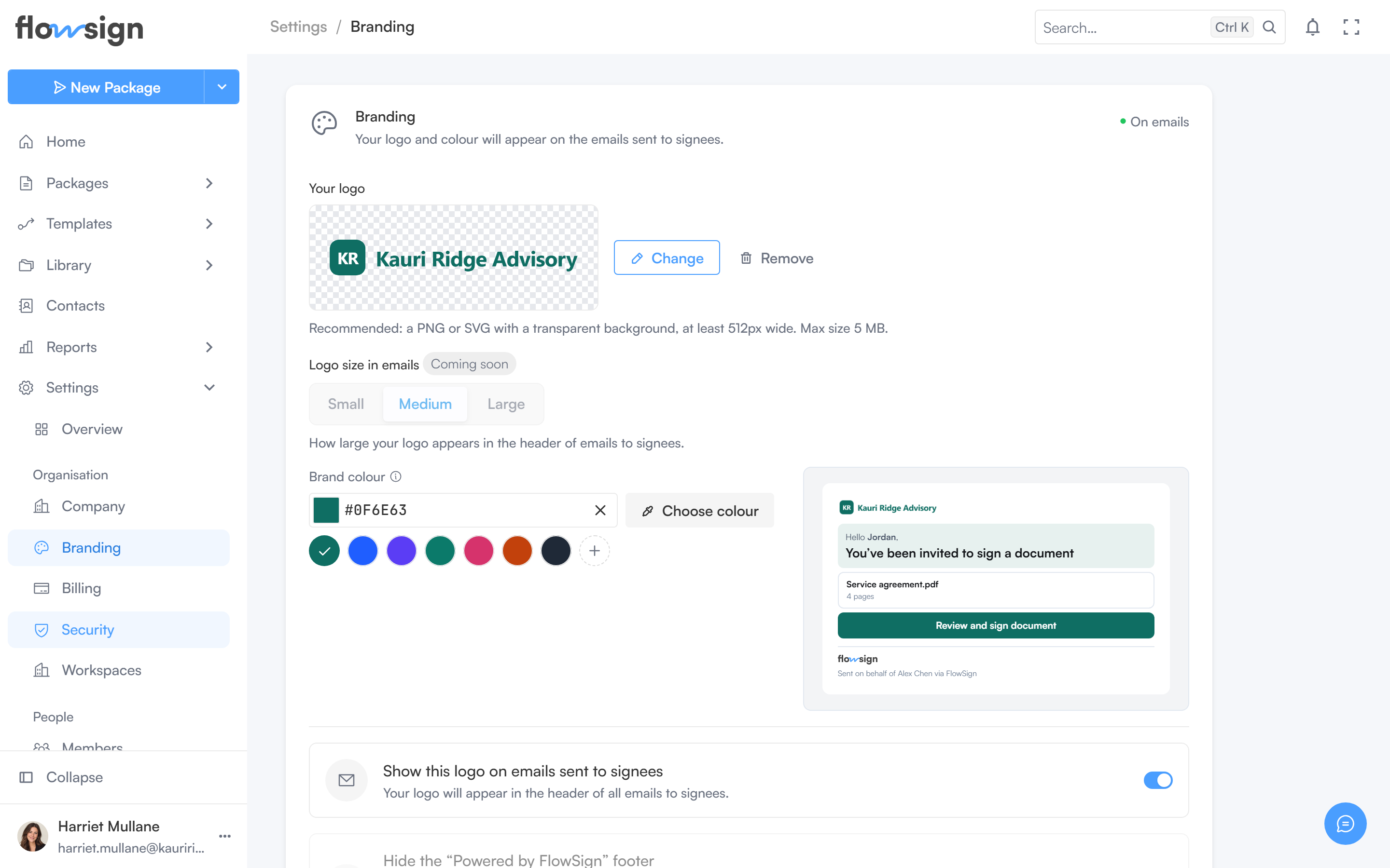 The branding settings page showing the logo and brand colour
