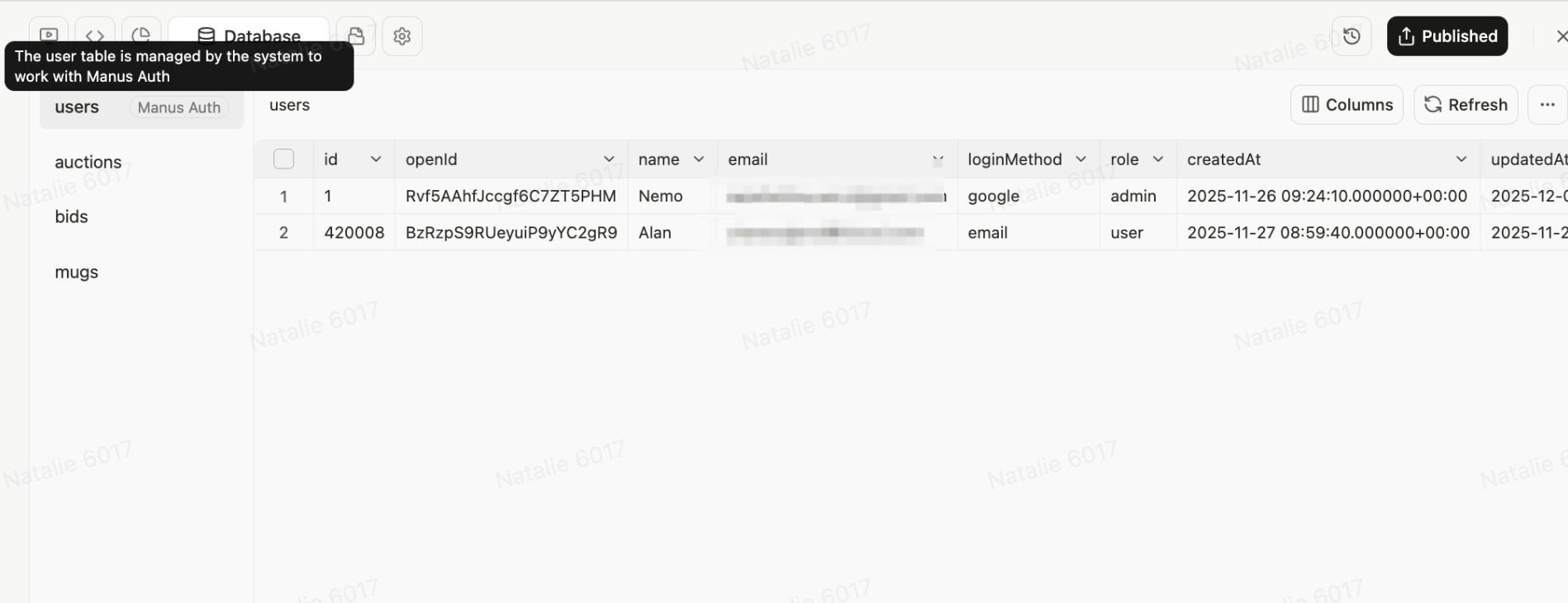 Access Control - Manus Documentation