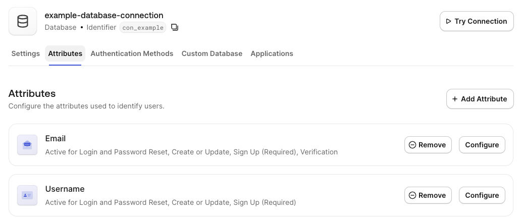 A database connection's Attributes tab