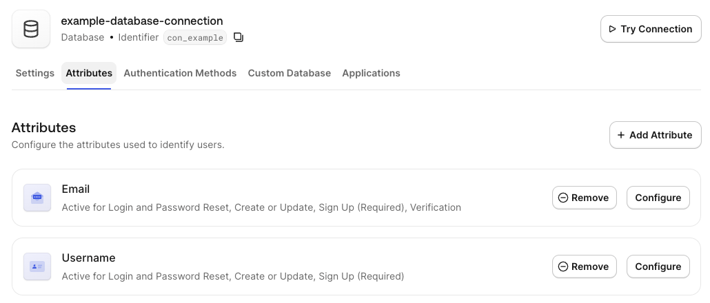 A database connection's Attributes tab