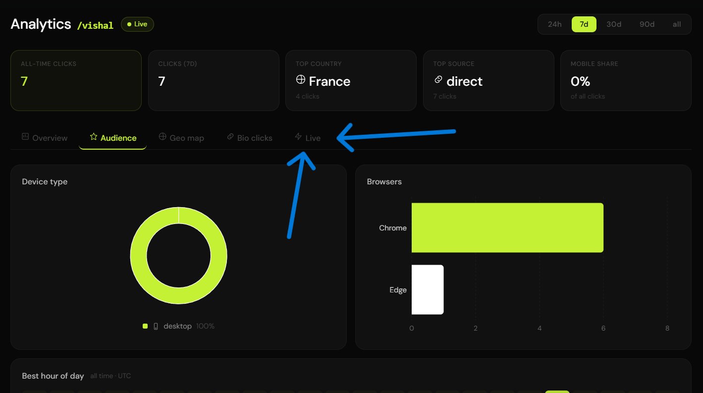 Live traffic tab in analytics view