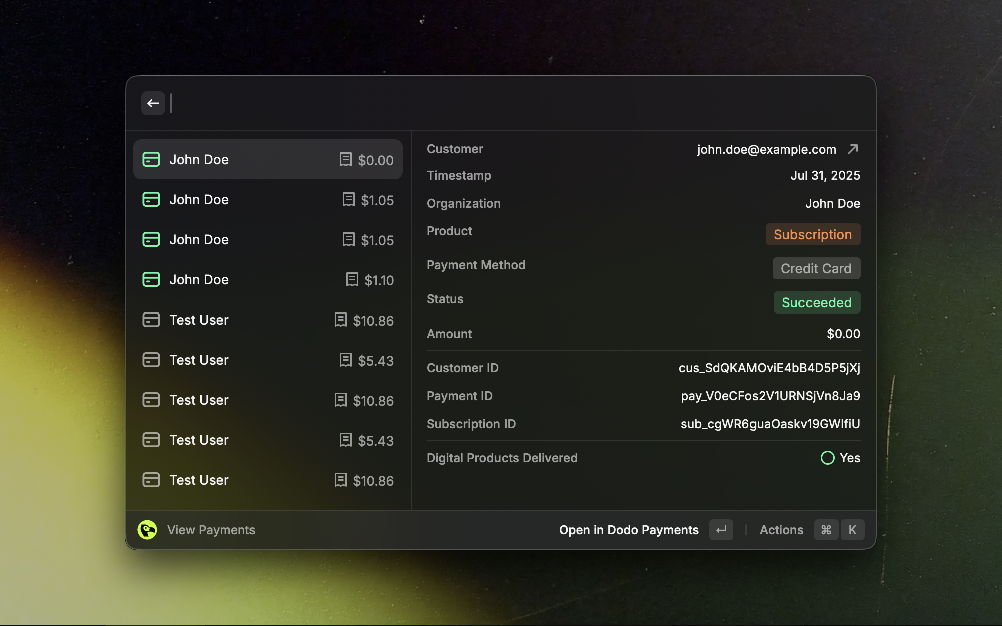 Payments list view in the Raycast extension