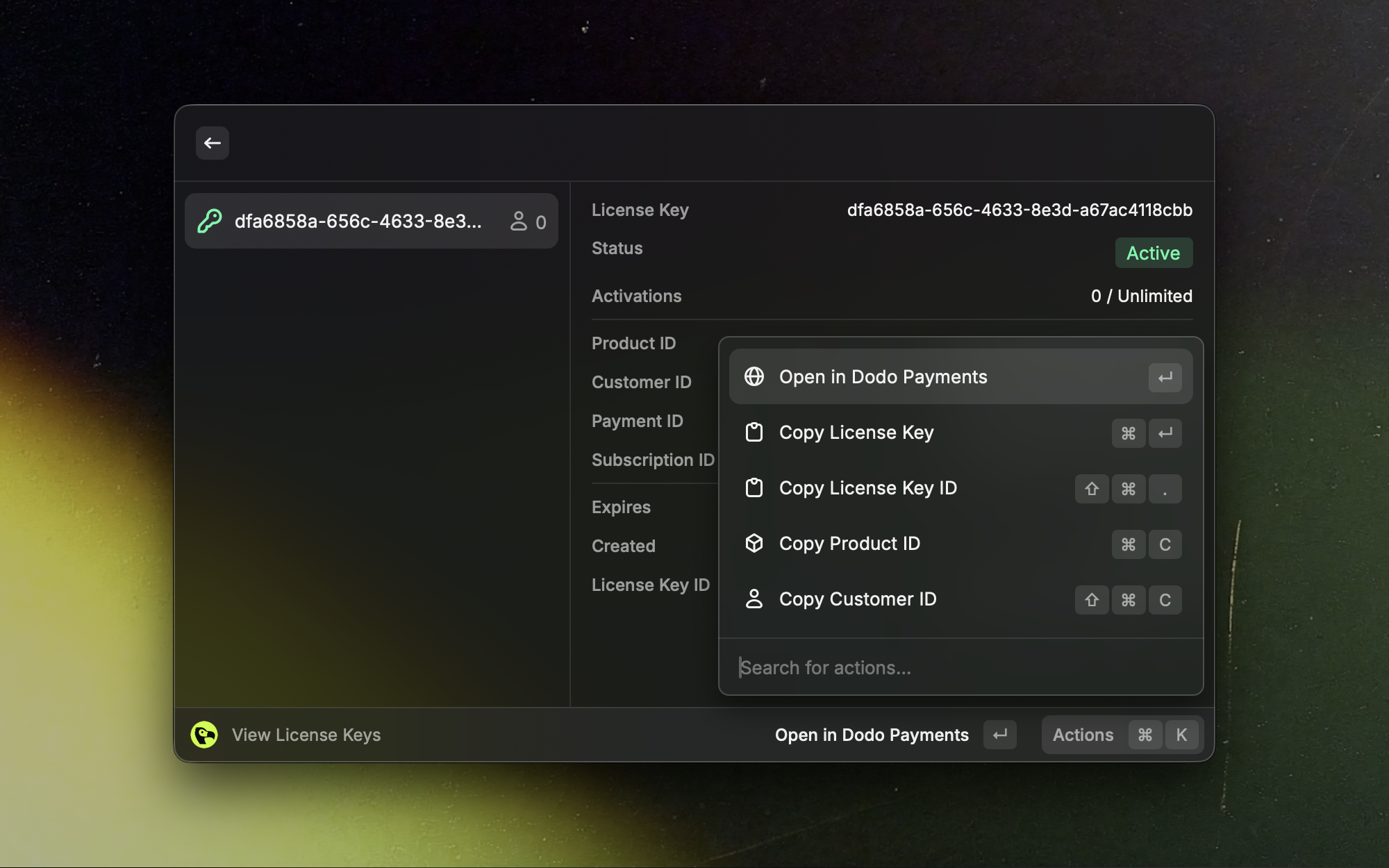 License keys list view in the Raycast extension