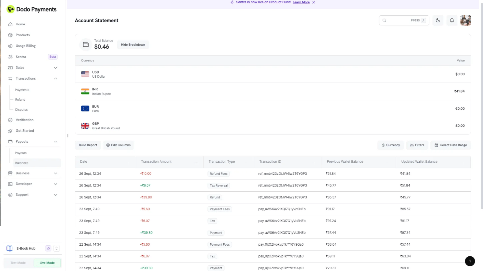 Balances dashboard showing wallet overview and transaction ledger