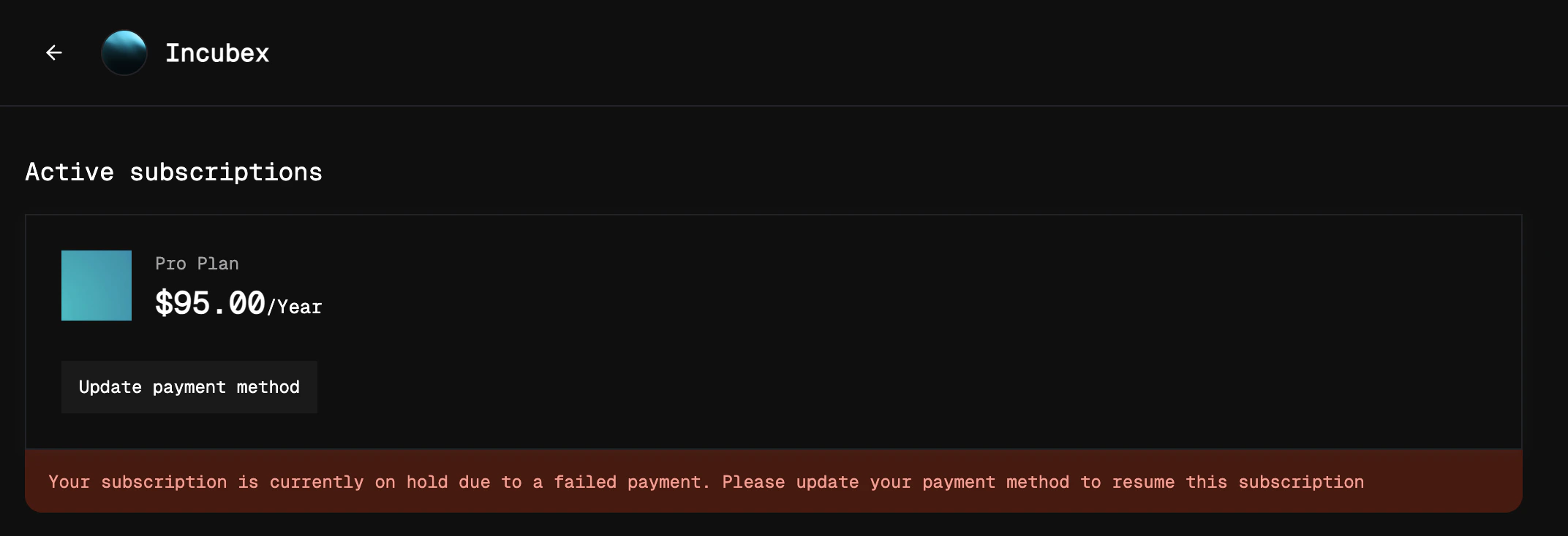 Customer portal showing an on-hold subscription for Pro Plan at $95.00/year with an Update payment method button and a warning banner about the failed payment
