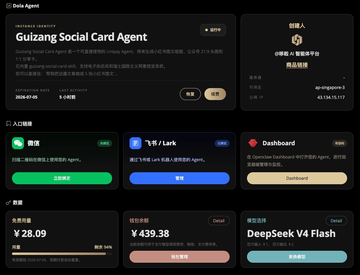 Dola Agent 管理页面示例