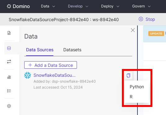 Code snippet button for Python or R