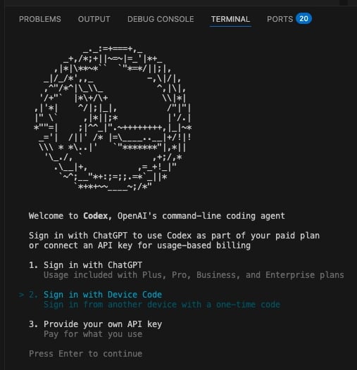 Run codex in the terminal and choose an authentication method