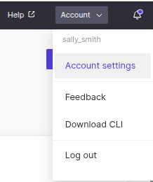 The Domino Account settings page, with API Key in the left navigation