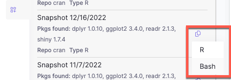 Choose R or Bash