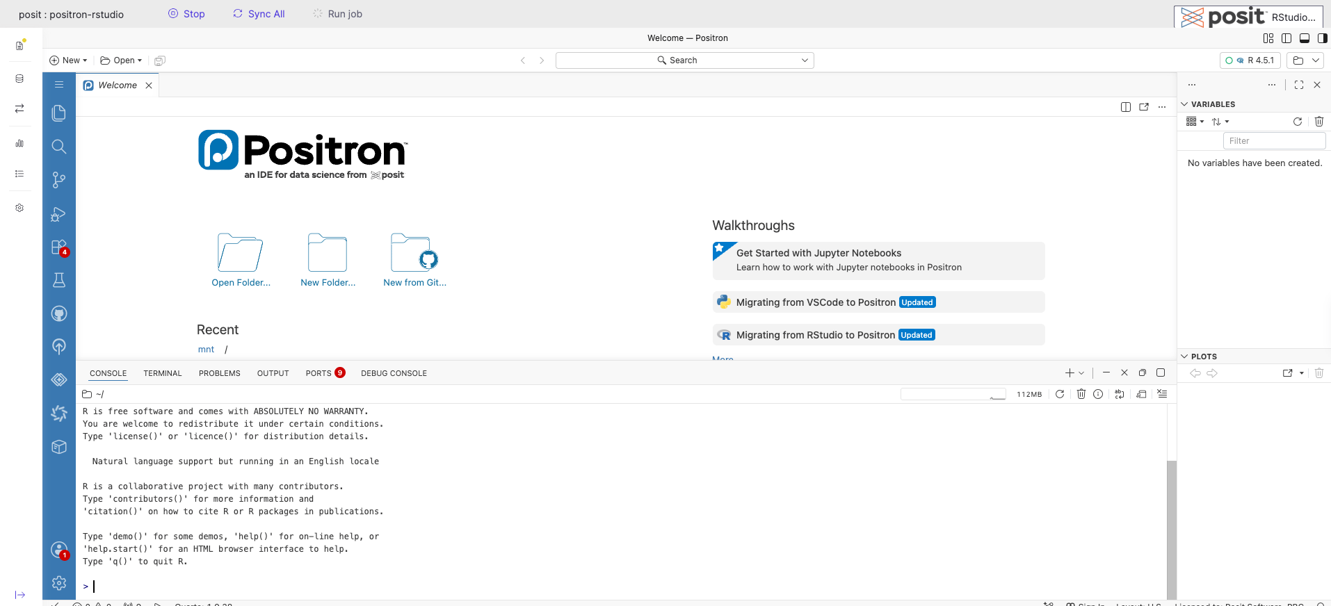 Positron IDE running in Posit Workbench with an R console started.