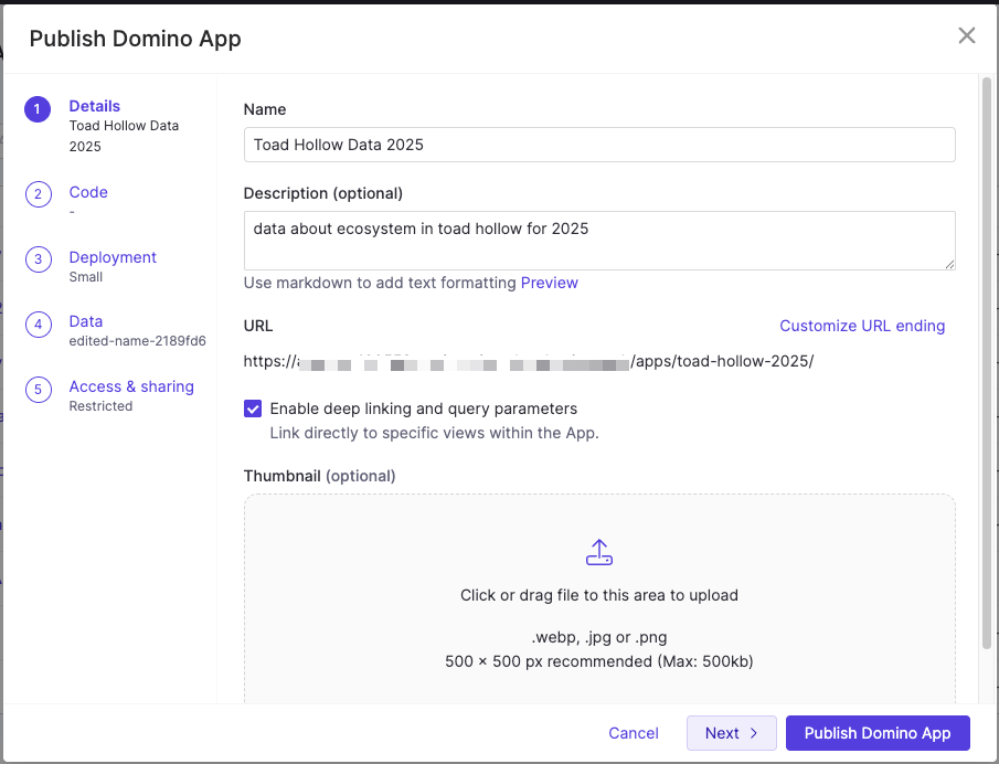 App Publishing Window