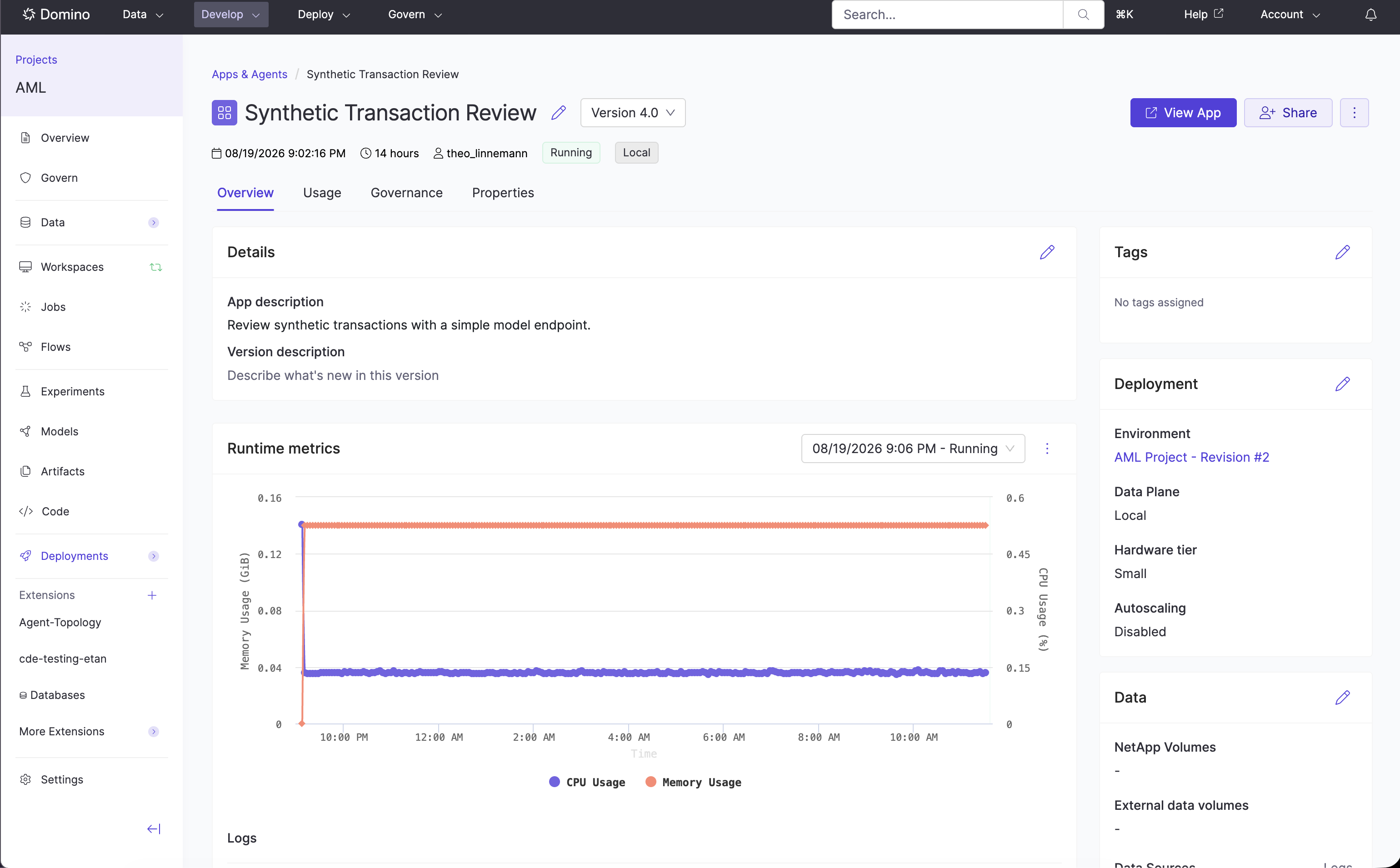 Synthetic Transaction Review App overview showing a running version, runtime metrics, Compute Environment, and Hardware Tier.