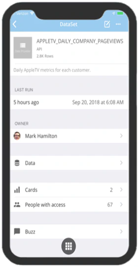 mobile_dataset_details_rn.png