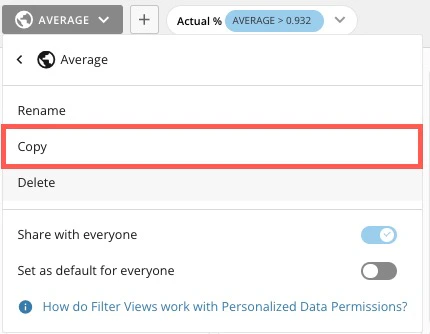 copy filter view.jpg